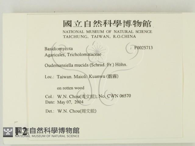 登錄號:F0025713藏品圖，第2張