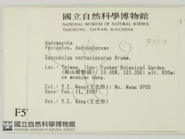 登錄號:F0005713藏品圖，第2張