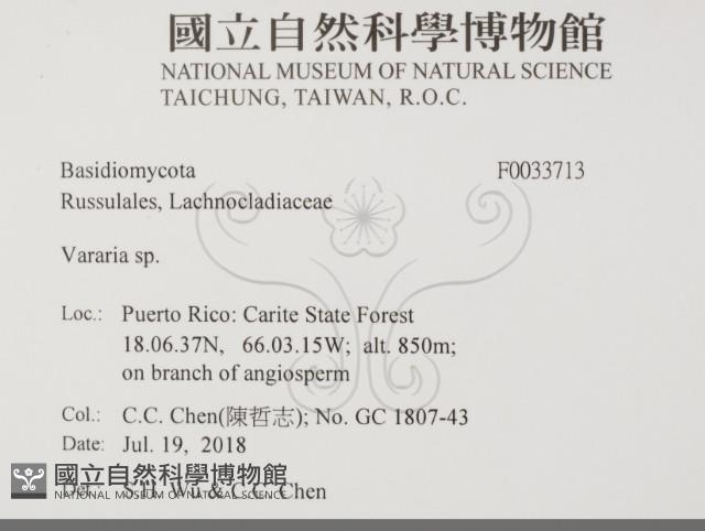 登錄號:F0033713藏品圖，第2張