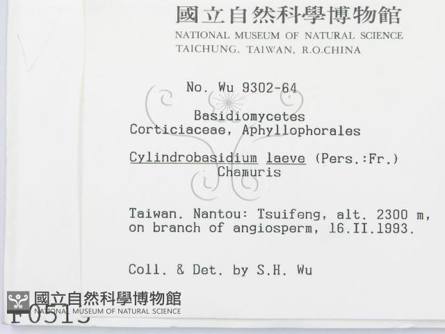 登錄號:F0000513藏品圖，第2張