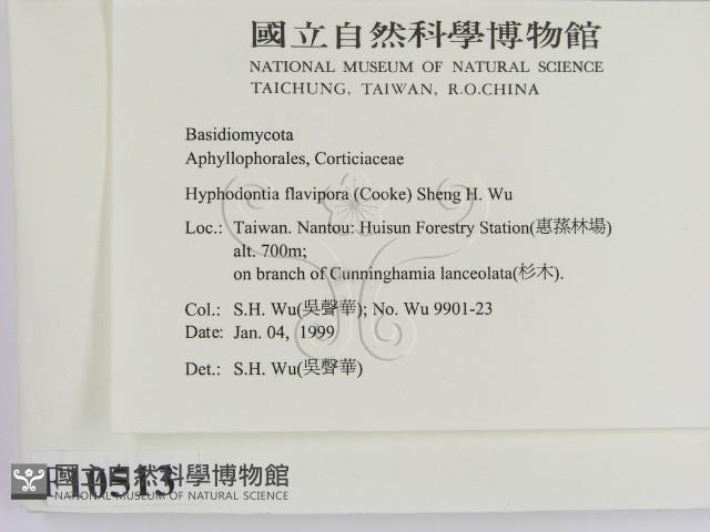 登錄號:F0010513藏品圖，第2張
