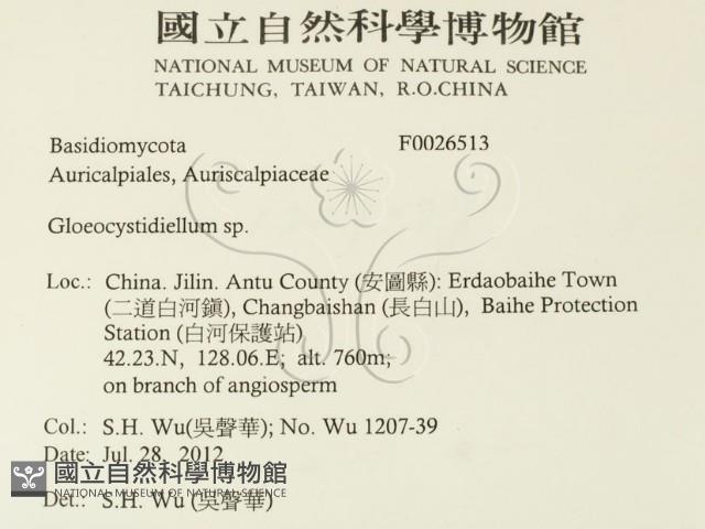 登錄號:F0026513藏品圖，第2張