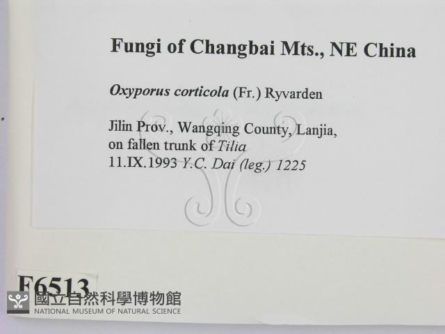 登錄號:F0006513藏品圖，第2張