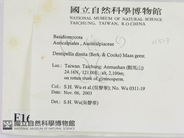 登錄號:F0016513藏品圖，第2張