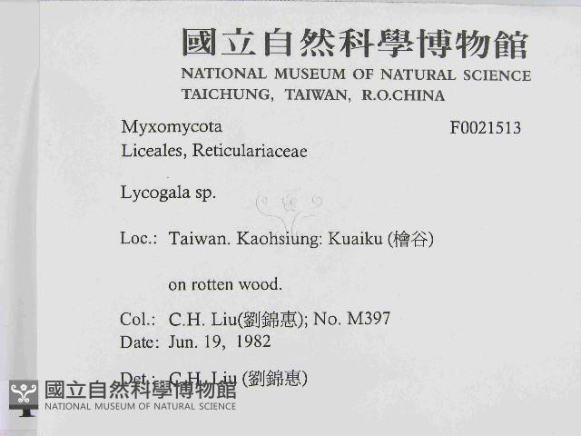 登錄號:F0021513藏品圖，第2張