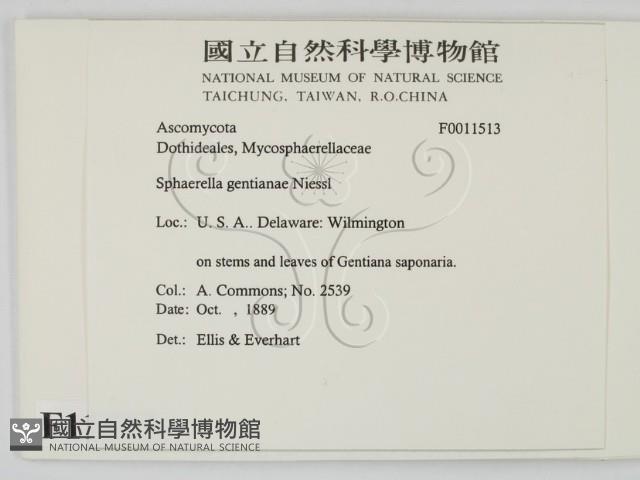 登錄號:F0011513藏品圖，第2張