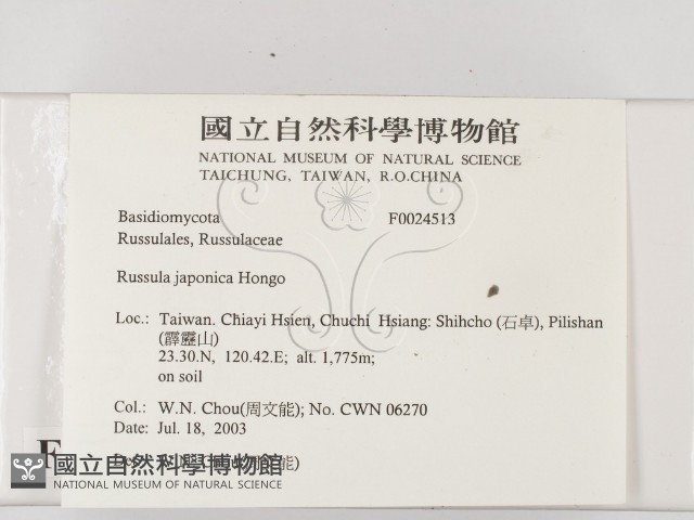 登錄號:F0024513藏品圖，第2張