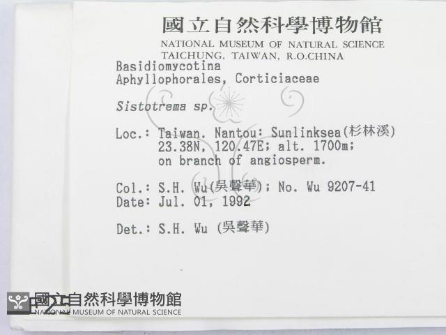 登錄號:F0002513藏品圖，第2張