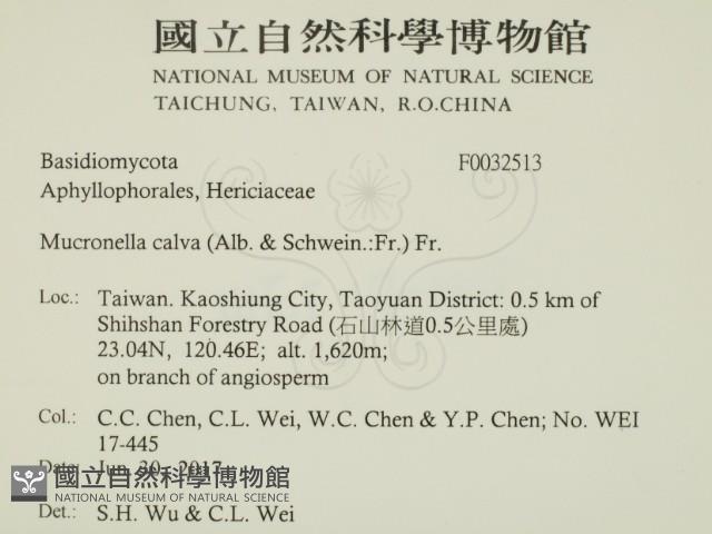 登錄號:F0032513藏品圖，第2張