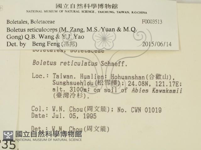 登錄號:F0003513藏品圖，第2張