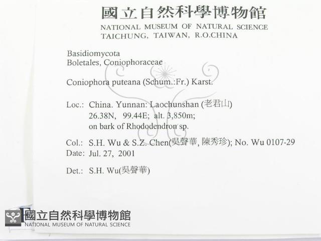 登錄號:F0013513藏品圖，第2張