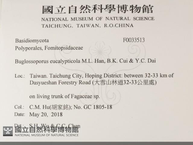 登錄號:F0033513藏品圖，第2張