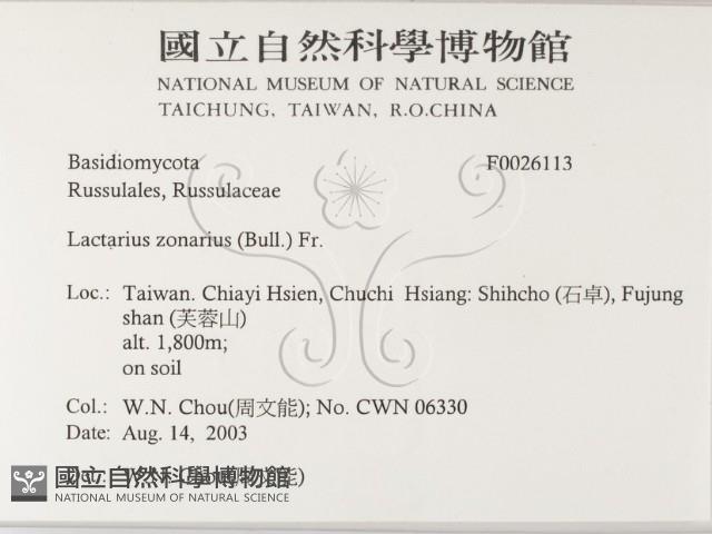 登錄號:F0026113藏品圖，第2張