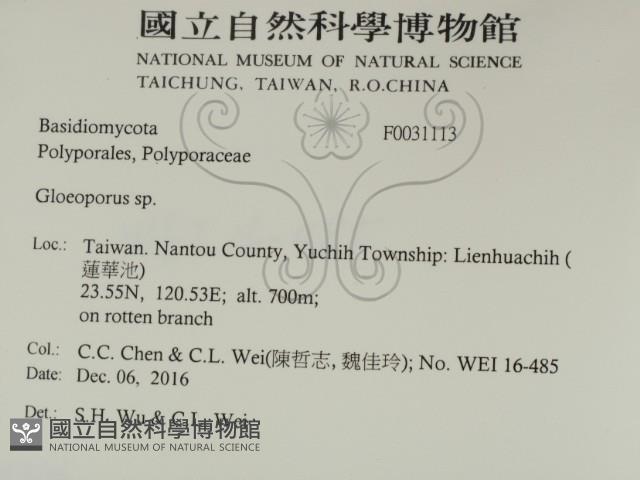 登錄號:F0031113藏品圖，第2張