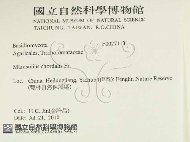 登錄號:F0027113藏品圖，第2張