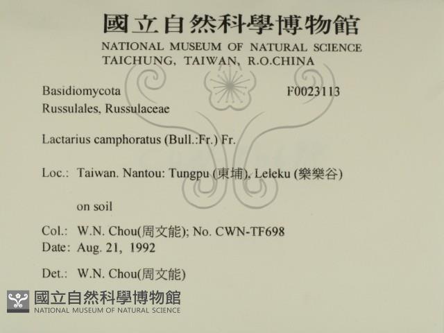 登錄號:F0023113藏品圖，第2張