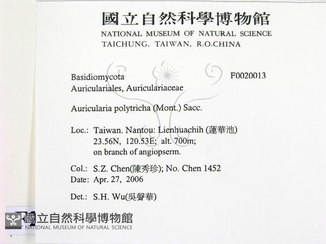 毛木耳藏品圖，第2張
