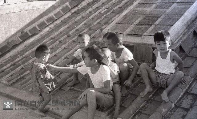 1950至2006年臺灣常民生活藏品圖，第1張