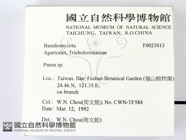 登錄號:F0023013藏品圖，第2張