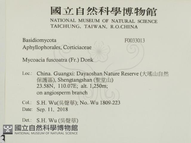 登錄號:F0033013藏品圖，第2張