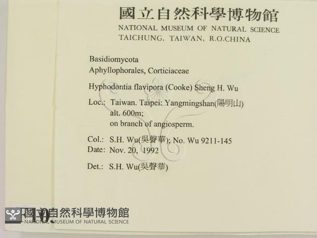 登錄號:F0010313藏品圖，第2張