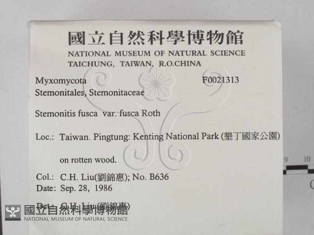 登錄號:F0021313藏品圖，第2張