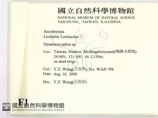 登錄號:F0011313藏品圖，第2張