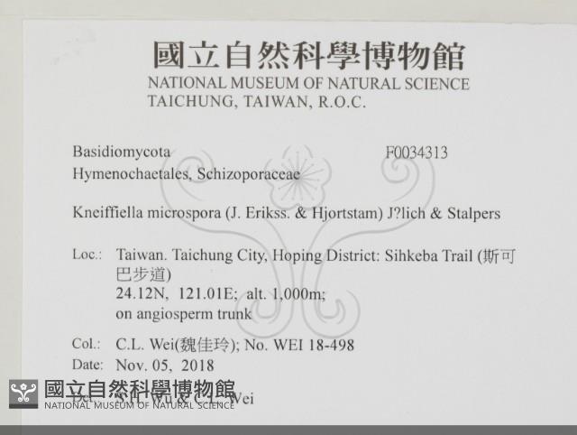 登錄號:F0034313藏品圖，第2張