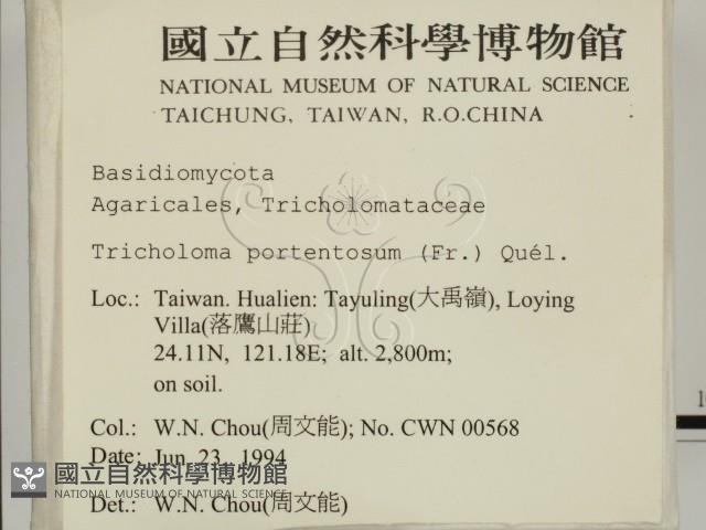 登錄號:F0002313藏品圖，第2張