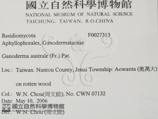 登錄號:F0027313藏品圖，第2張