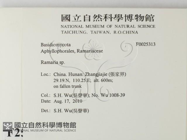 登錄號:F0025313藏品圖，第2張