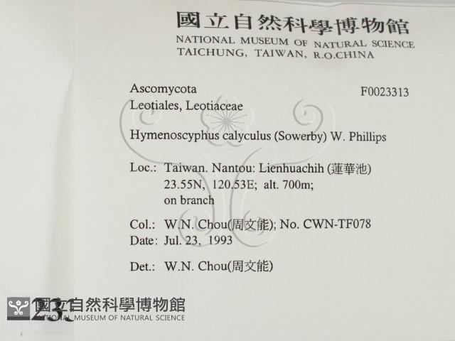 登錄號:F0023313藏品圖，第2張