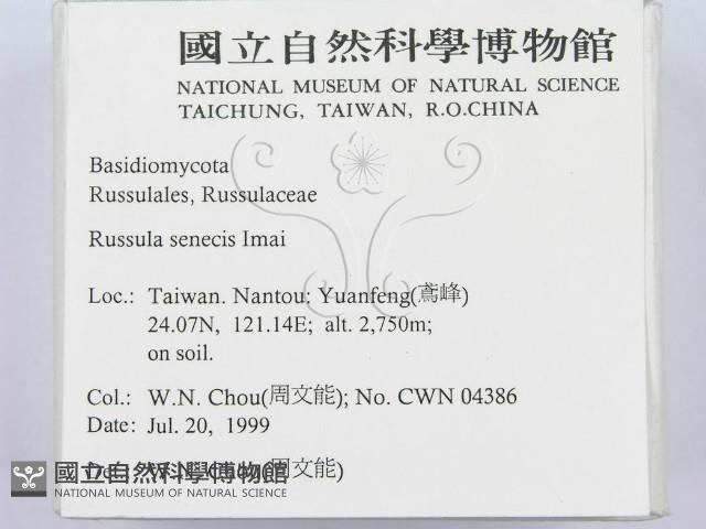 登錄號:F0013313藏品圖，第2張