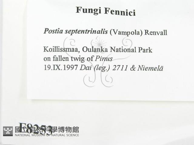 登錄號:F0008253藏品圖，第2張