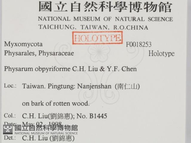 登錄號:F0018253藏品圖，第2張