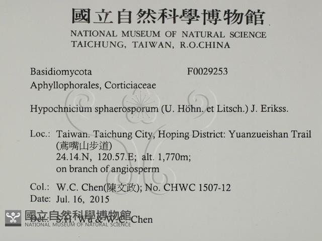 登錄號:F0020253藏品圖，第2張