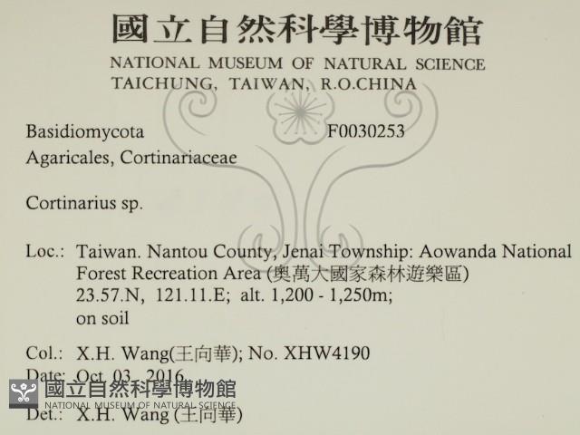登錄號:F0030253藏品圖，第2張