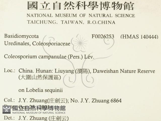 登錄號:F0026253藏品圖，第2張