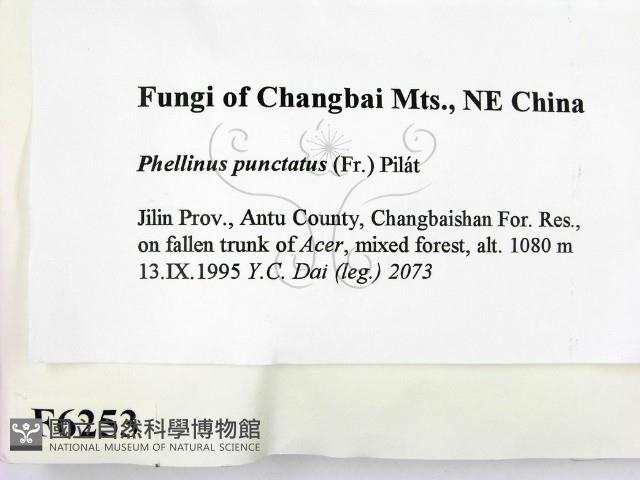 登錄號:F0006253藏品圖，第2張