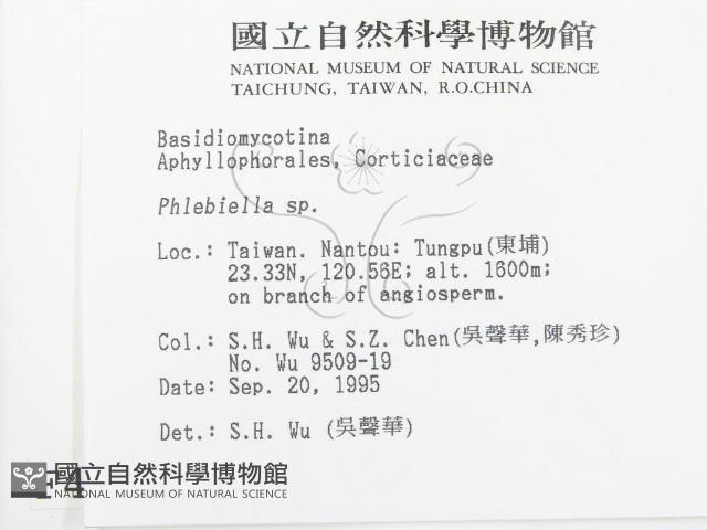 登錄號:F0004253藏品圖，第2張