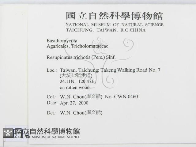 登錄號:F0014253藏品圖，第2張