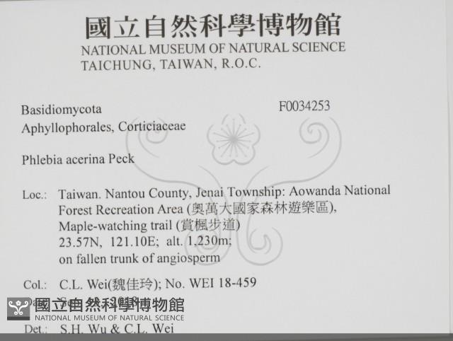 登錄號:F0034253藏品圖，第2張