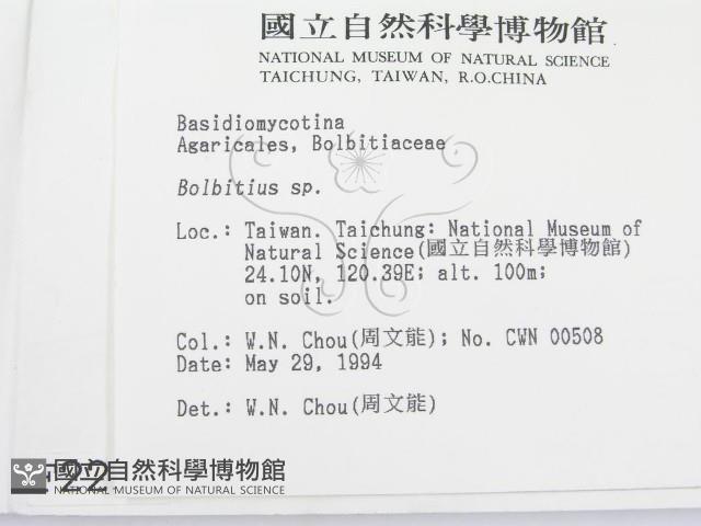 登錄號:F0002253藏品圖，第2張