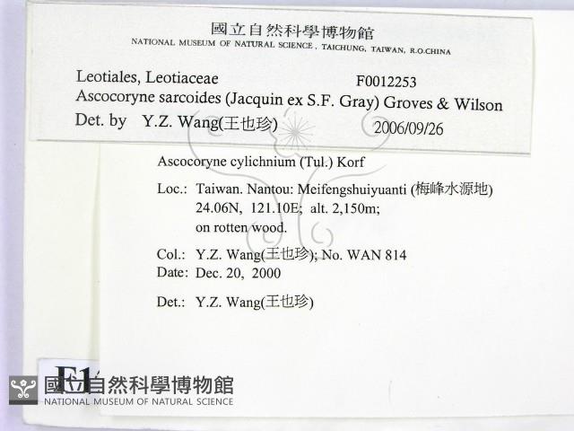 登錄號:F0012253藏品圖，第2張