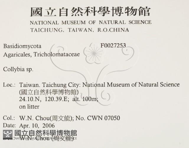 登錄號:F0027253藏品圖，第2張