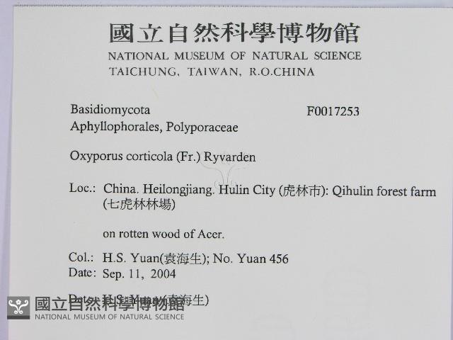 登錄號:F0017253藏品圖，第2張