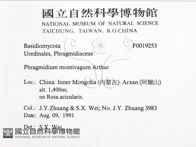 登錄號:F0019253藏品圖，第2張