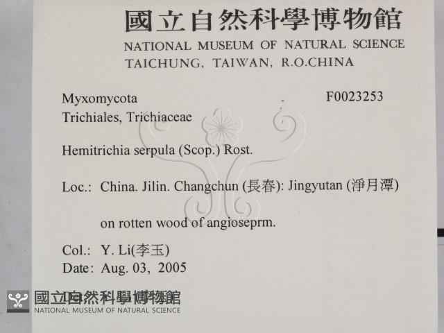登錄號:F0023253藏品圖，第2張