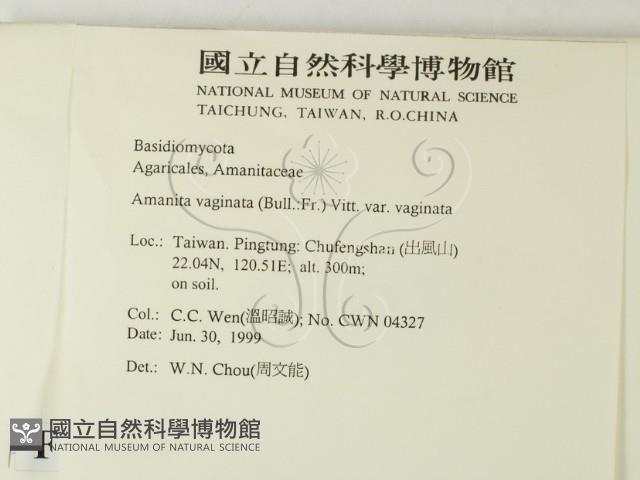 登錄號:F0013253藏品圖，第2張