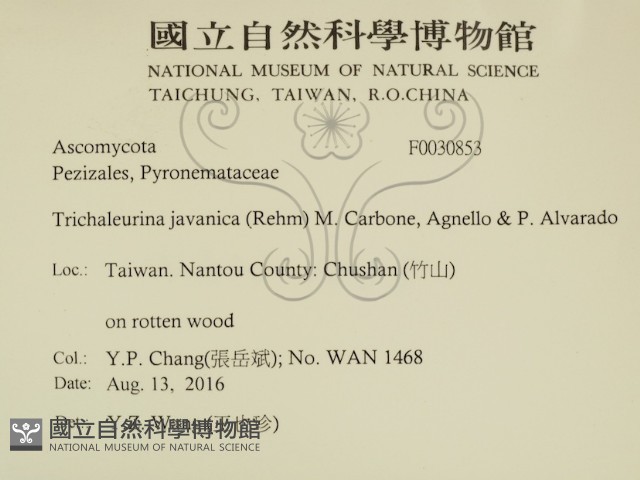 登錄號:F0030853藏品圖，第2張